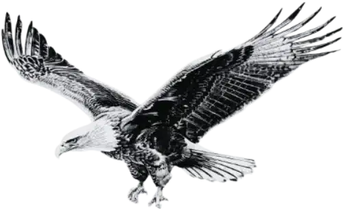 Brian D. O'Leary Logo